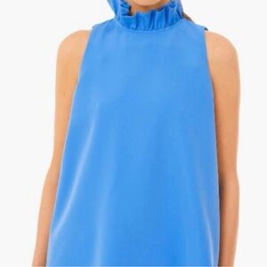 Tuckernuck Blue Mason Top - Size M